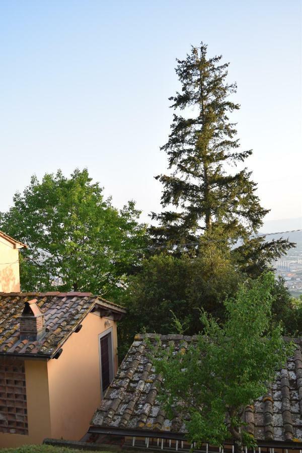 La Casa Sui Colli Villa Uzzano Dış mekan fotoğraf